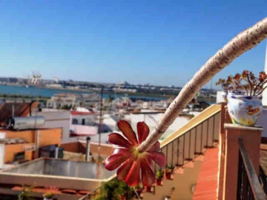 “Flor De Sal” Charming Traditional Andalusian House Ayamonte Extérieur photo