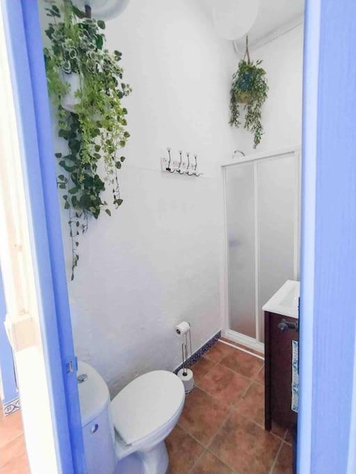 “Flor De Sal” Charming Traditional Andalusian House Ayamonte Extérieur photo